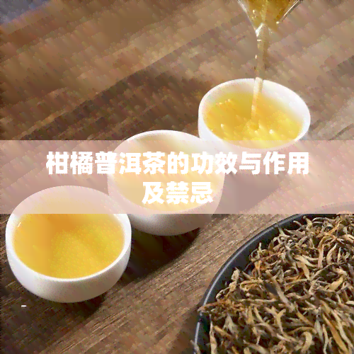 柑橘普洱茶的功效与作用及禁忌