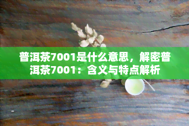 普洱茶7001是什么意思，解密普洱茶7001：含义与特点解析