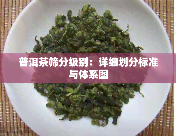 普洱茶筛分级别：详细划分标准与体系图