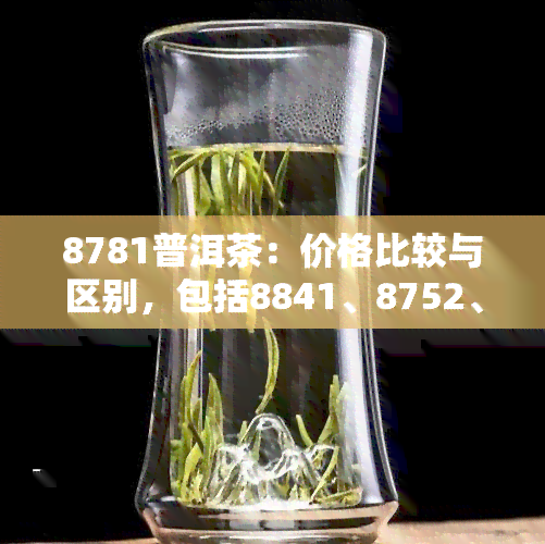 8781普洱茶：价格比较与区别，包括8841、8752、8811、8801、7813等款式