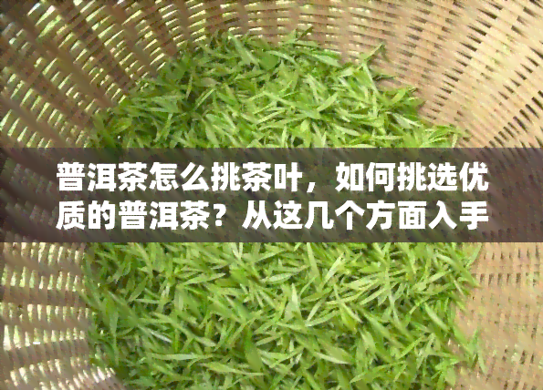 普洱茶怎么挑茶叶，如何挑选优质的普洱茶？从这几个方面入手！