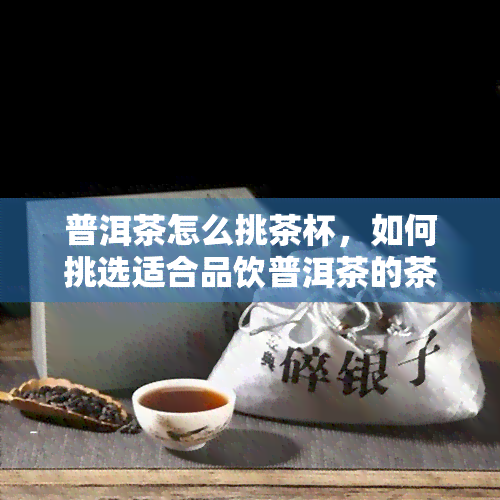 普洱茶怎么挑茶杯，如何挑选适合品饮普洱茶的茶杯？