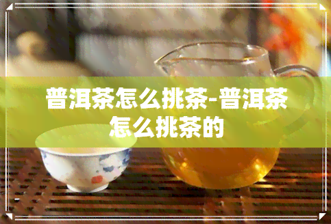 普洱茶怎么挑茶-普洱茶怎么挑茶的