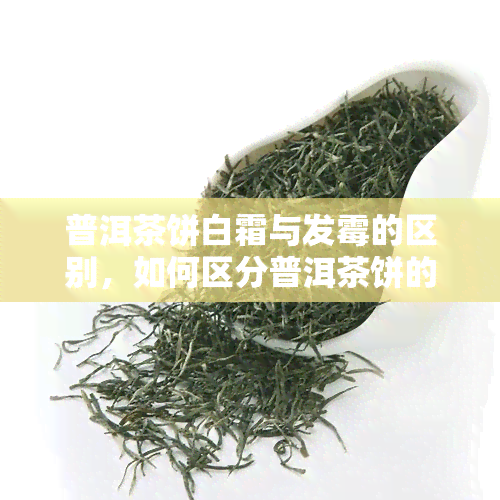 普洱茶饼白霜与发霉的区别，如何区分普洱茶饼的白霜和霉变？