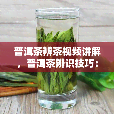 普洱茶辨茶视频讲解，普洱茶辨识技巧：视频详解