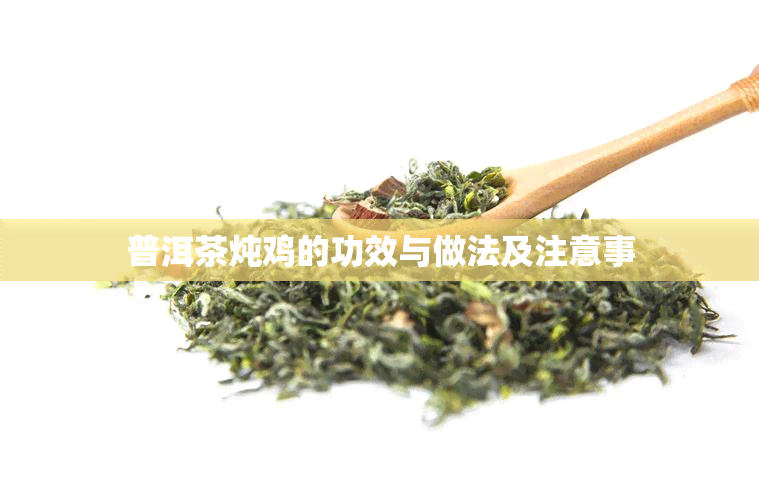 普洱茶炖鸡的功效与做法及注意事