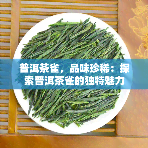 普洱茶雀，品味珍稀：探索普洱茶雀的独特魅力