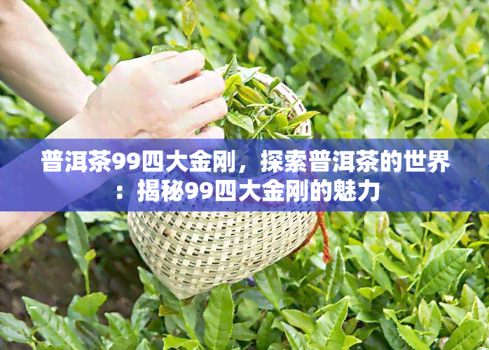 普洱茶99四大金刚，探索普洱茶的世界：揭秘99四大金刚的魅力