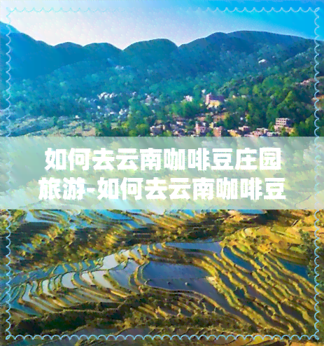 如何去云南咖啡豆庄园旅游-如何去云南咖啡豆庄园旅游呢