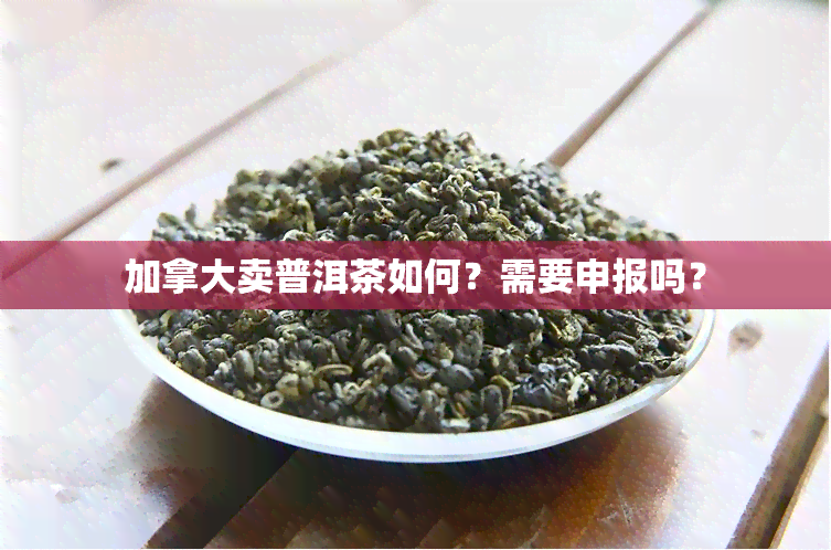 加拿大卖普洱茶如何？需要申报吗？