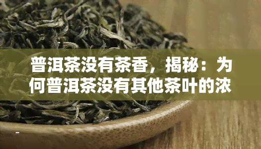 普洱茶没有茶香，揭秘：为何普洱茶没有其他茶叶的浓茶香？