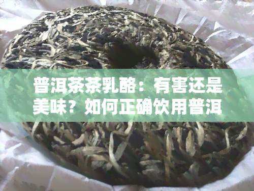 普洱茶茶乳酪：有害还是美味？如何正确饮用普洱茶与乳酪的结合品？