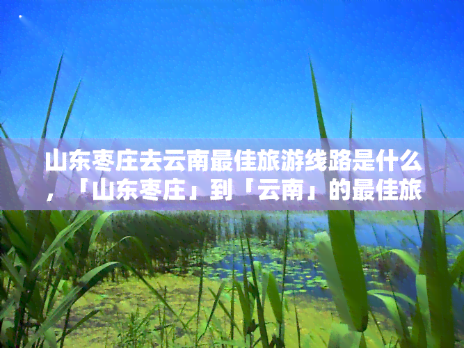 山东枣庄去云南更佳旅游线路是什么，「山东枣庄」到「云南」的更佳旅游路线推荐