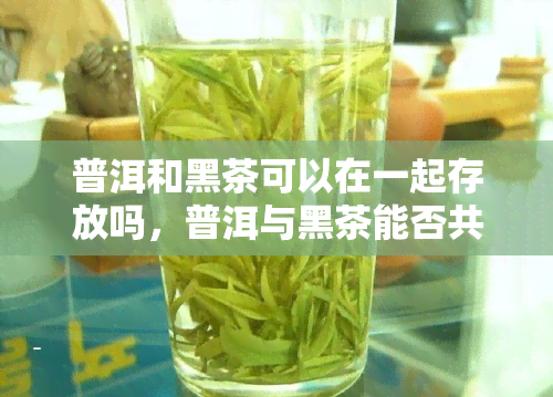 普洱和黑茶可以在一起存放吗，普洱与黑茶能否共存？探讨两种茶叶的存问题