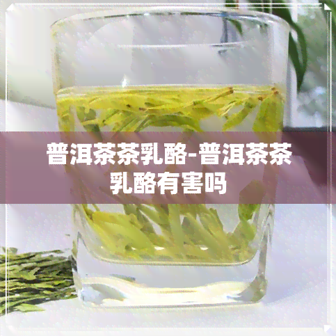 普洱茶茶乳酪-普洱茶茶乳酪有害吗