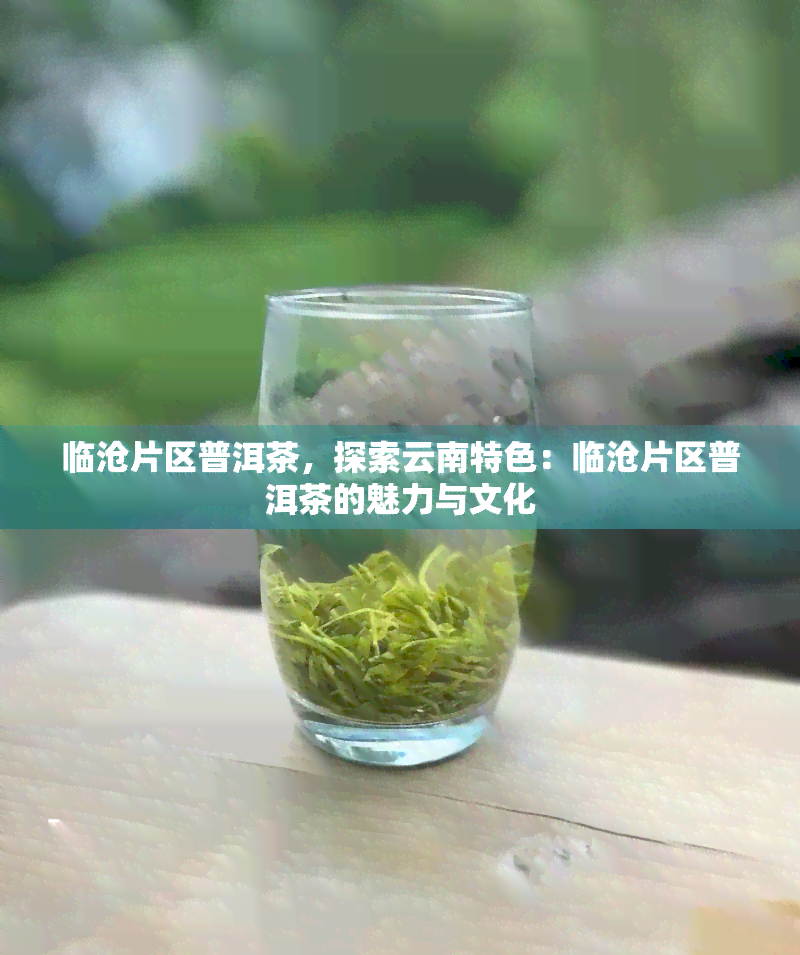 临沧片区普洱茶，探索云南特色：临沧片区普洱茶的魅力与文化