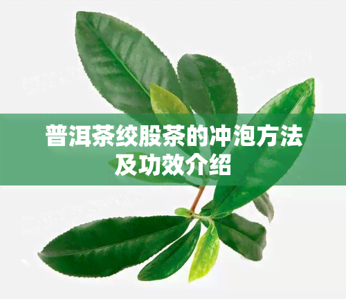 普洱茶绞股茶的冲泡方法及功效介绍