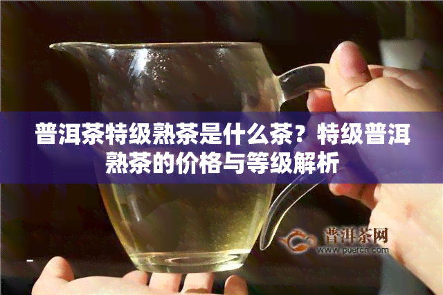 普洱茶特级熟茶是什么茶？特级普洱熟茶的价格与等级解析