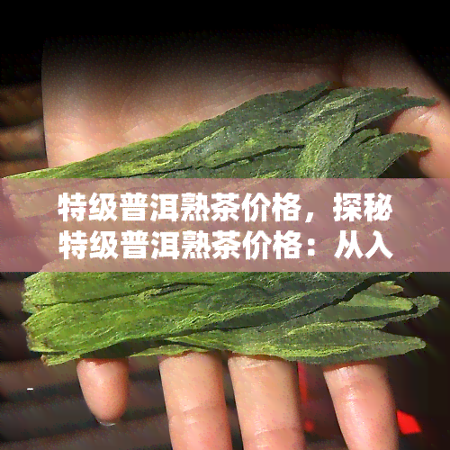 特级普洱熟茶价格，探秘特级普洱熟茶价格：从入门到高端的全面解析