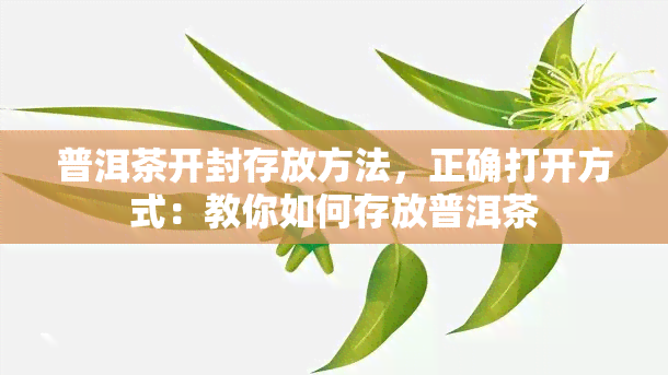 普洱茶开封存放方法，正确打开方式：教你如何存放普洱茶