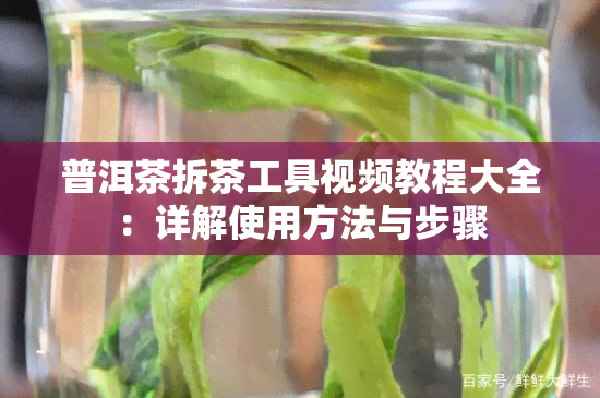 普洱茶拆茶工具视频教程大全：详解使用方法与步骤