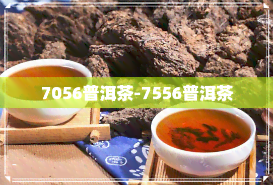 7056普洱茶-7556普洱茶