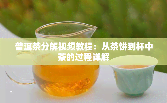 普洱茶分解视频教程：从茶饼到杯中茶的过程详解