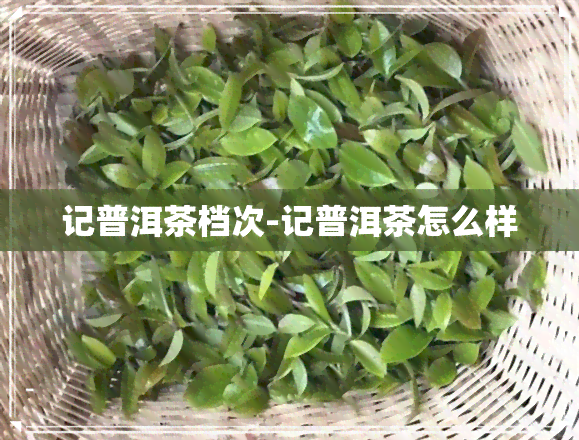 记普洱茶档次-记普洱茶怎么样