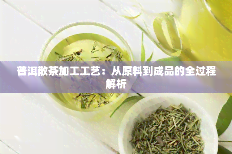 普洱散茶加工工艺：从原料到成品的全过程解析