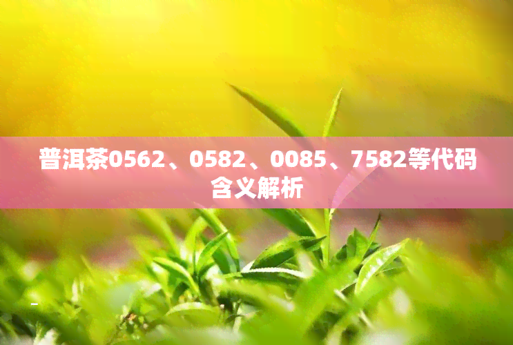 普洱茶0562、0582、0085、7582等代码含义解析