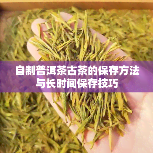 自制普洱茶古茶的保存方法与长时间保存技巧