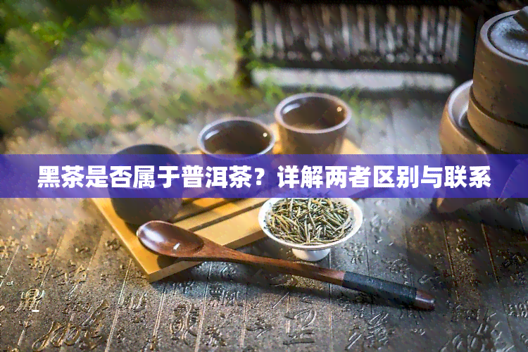 黑茶是否属于普洱茶？详解两者区别与联系