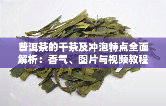 普洱茶的干茶及冲泡特点全面解析：香气、图片与视频教程一应俱全