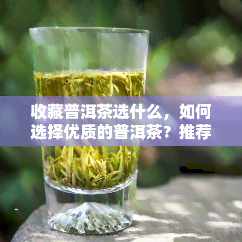 收藏普洱茶选什么，如何选择优质的普洱茶？推荐几个知名供您参考！