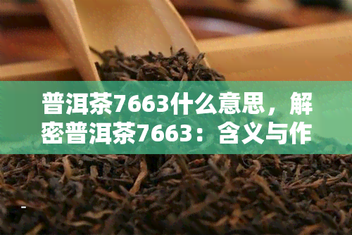 普洱茶7663什么意思，解密普洱茶7663：含义与作用