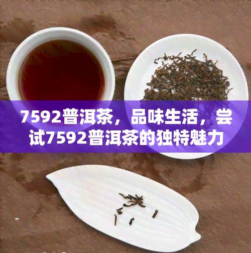 7592普洱茶，品味生活，尝试7592普洱茶的独特魅力！