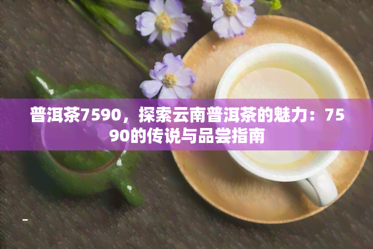 普洱茶7590，探索云南普洱茶的魅力：7590的传说与品尝指南