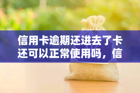 信用卡逾期还进去了卡还可以正常使用吗，信用卡逾期还款后，卡片还能继续使用吗？