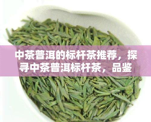 中茶普洱的标杆茶推荐，探寻中茶普洱标杆茶，品鉴越品质！