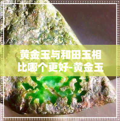 黄金玉与和田玉相比哪个更好-黄金玉与和田玉相比哪个更好一些