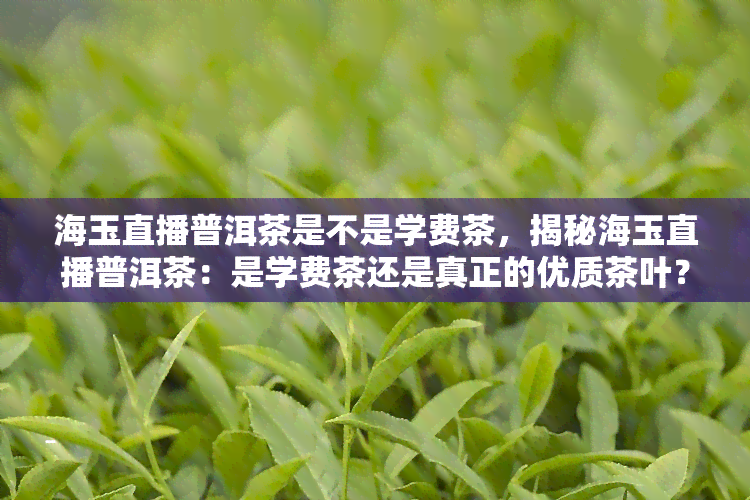 海玉直播普洱茶是不是学费茶，揭秘海玉直播普洱茶：是学费茶还是真正的优质茶叶？