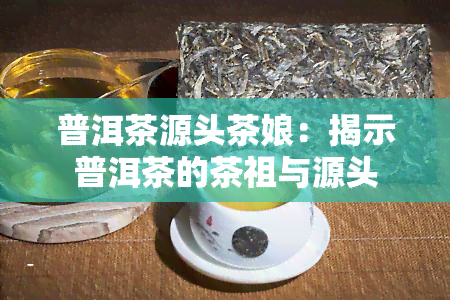 普洱茶源头茶娘：揭示普洱茶的茶祖与源头