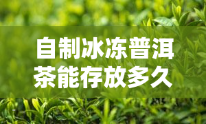 自制冰冻普洱茶能存放多久？不变质期限及冰箱保存方法解析