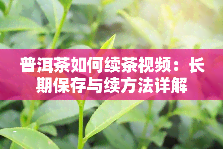 普洱茶如何续茶视频：长期保存与续方法详解