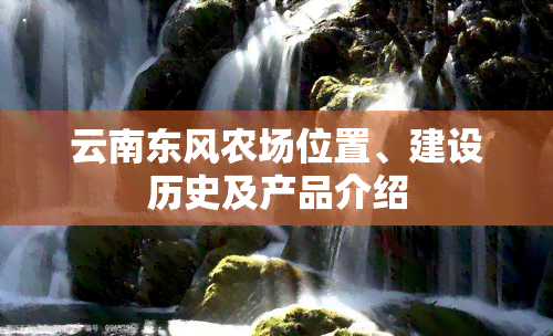 云南东风农场位置、建设历史及产品介绍