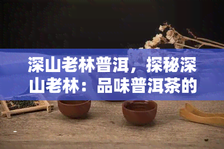 深山老林普洱，探秘深山老林：品味普洱茶的原始韵味