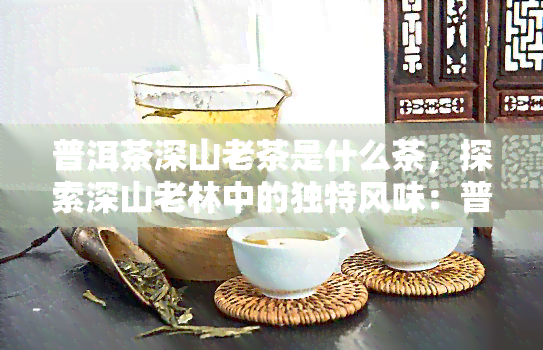 普洱茶深山老茶是什么茶，探索深山老林中的独特风味：普洱茶是什么茶？