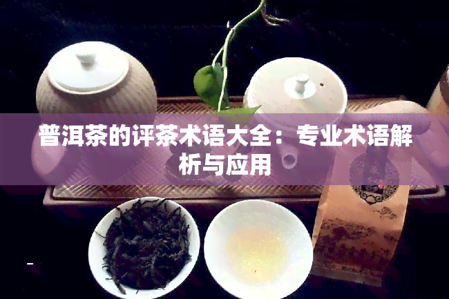 普洱茶的评茶术语大全：专业术语解析与应用