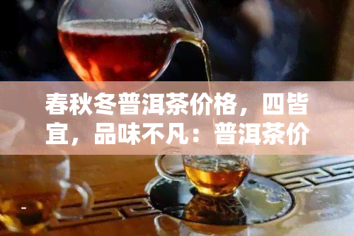 春秋冬普洱茶价格，四皆宜，品味不凡：普洱茶价格全解析