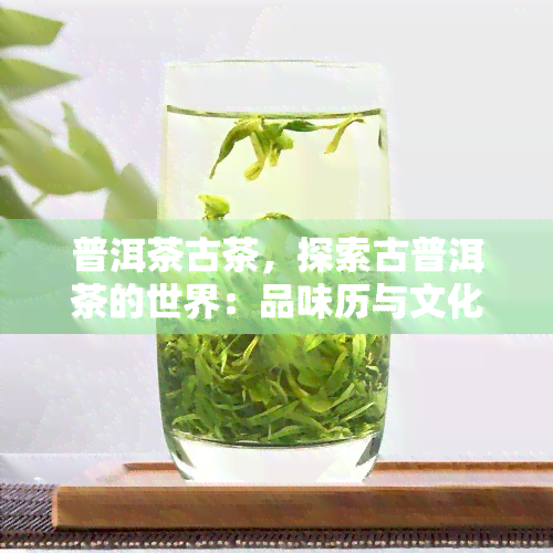 普洱茶古茶，探索古普洱茶的世界：品味历与文化的交融